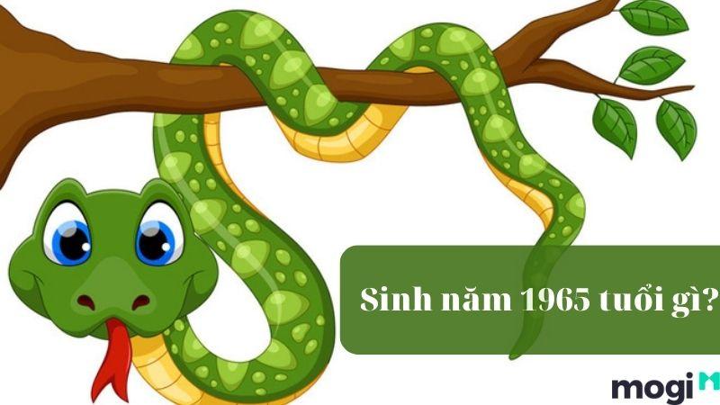 Sinh Năm 1965 Tuổi Gì? Hợp Với Màu Và Mệnh Gì? Nên Xây Nhà Hướng Nào?