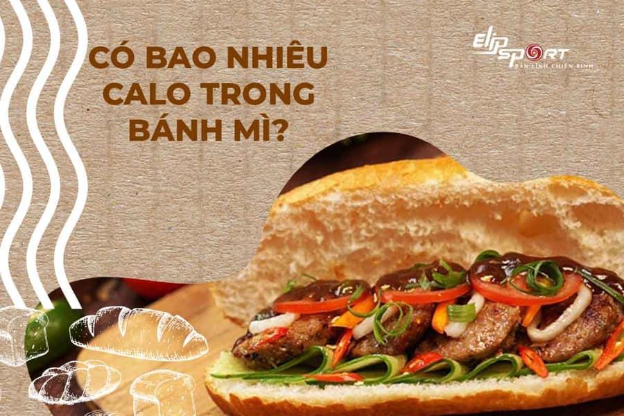 100 gr bánh mì nguyên cám bao nhiêu calo?