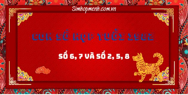 Sinh năm 1982 hợp số nào và Mẹo sử dụng con số hợp tuổi Nhâm Tuất?