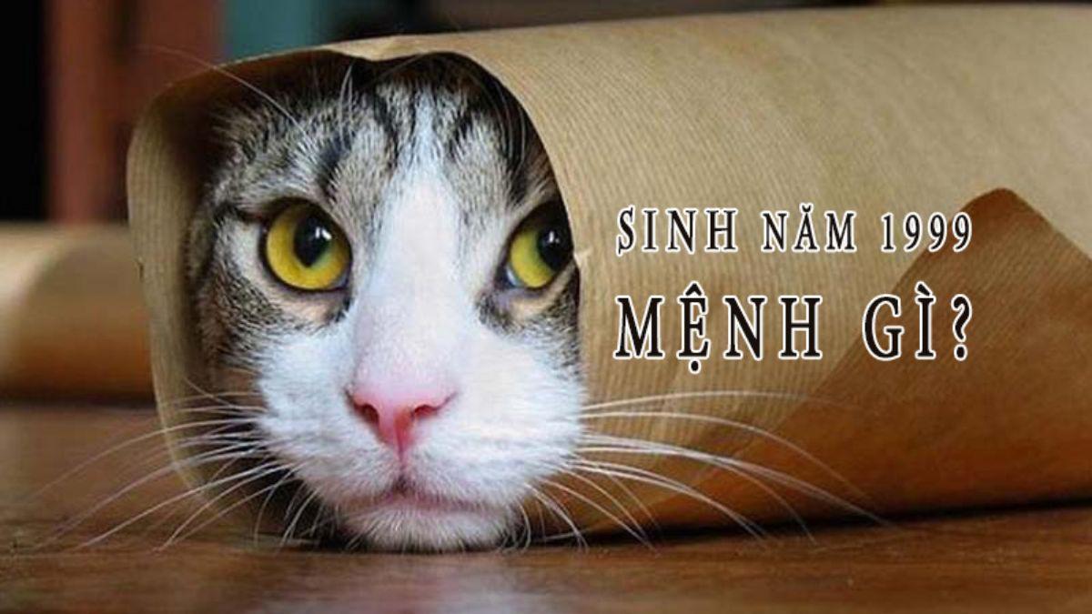 Sinh năm 1999 mệnh gì? Hợp với tuổi nào, màu nào?