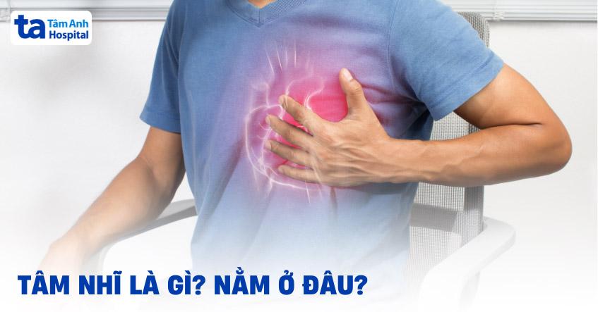 Tâm nhĩ là gì? Giải phẫu cấu trúc, vị trí và chức năng hoạt động