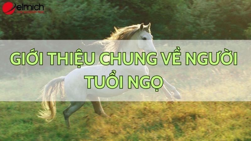 Hình 1: Giới thiệu sơ lược về người tuổi Ngọ theo phong thủy