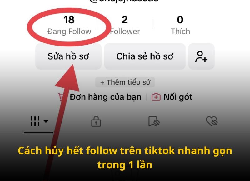 Cách Hủy Hết Follow Trên Tiktok Nhanh Gọn Trong 1 Lần