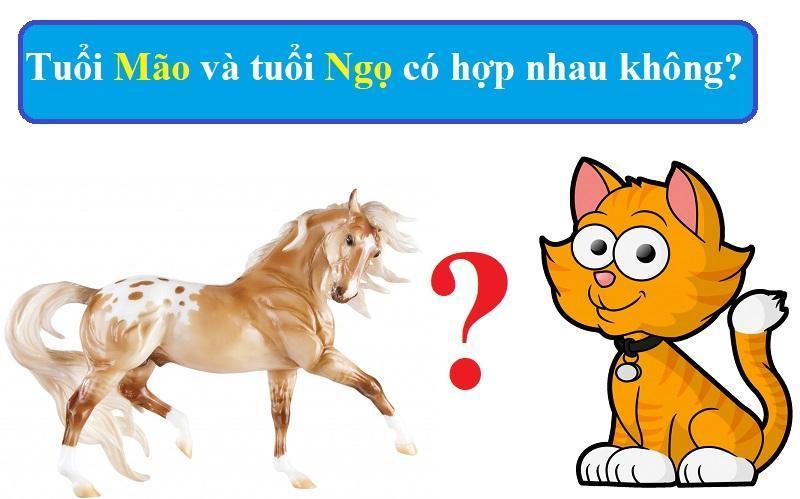 Tuoi Mao va tuoi Ngo co hop nhau khong