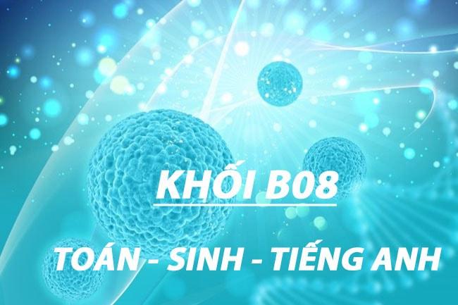 Toán Sinh Anh là khối gì? Xét tuyển được những ngành nào?