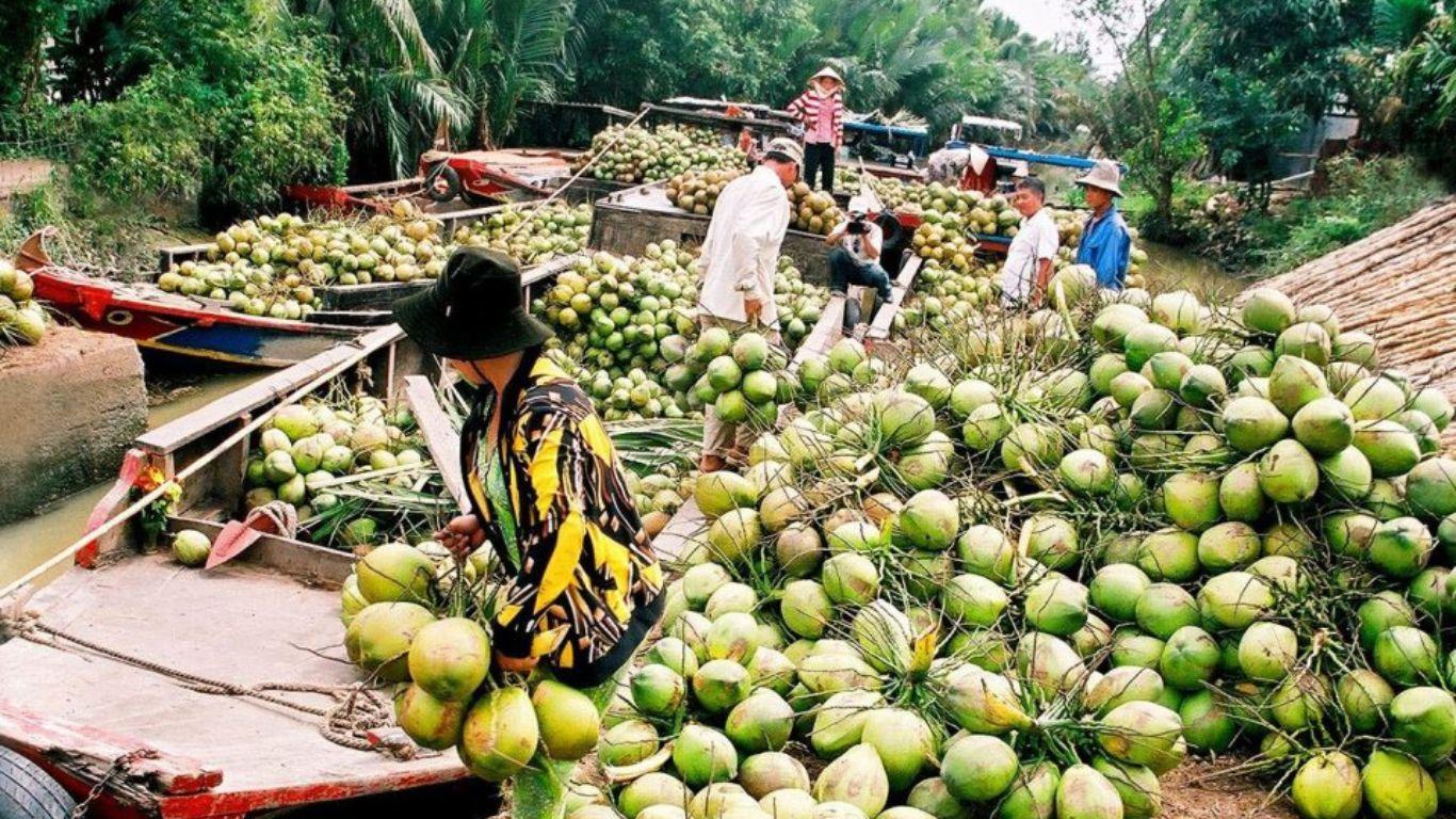 kingdom of coconut ben tre