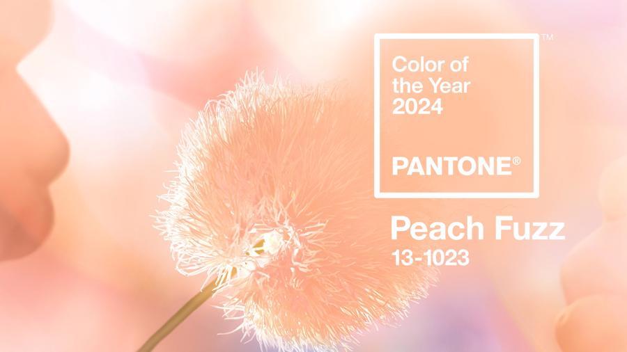PANTONE 13-1023 “Peach Fuzz” là màu sắc của năm 2024.