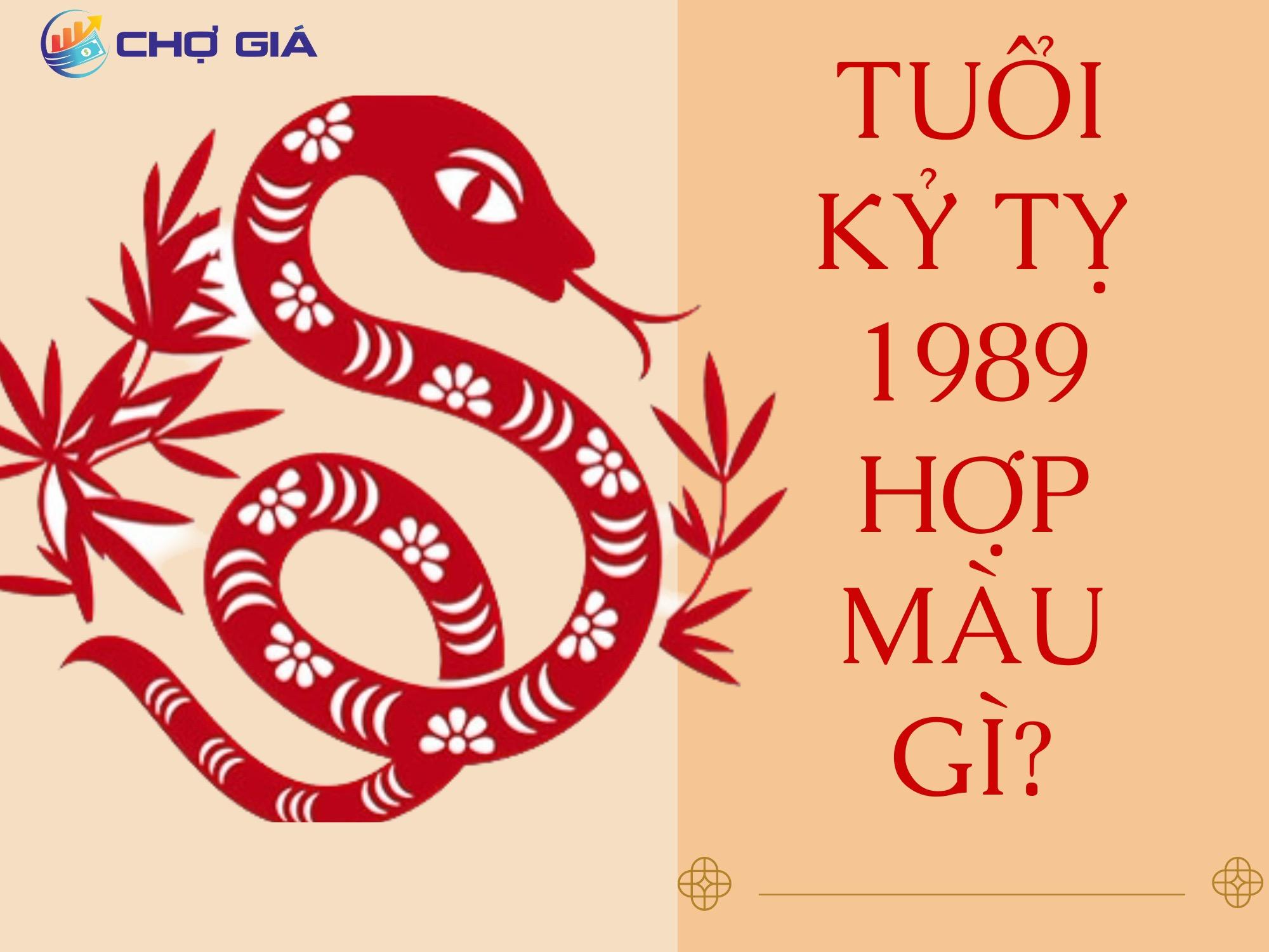 tuoi ky ty 1989 hop mau gi