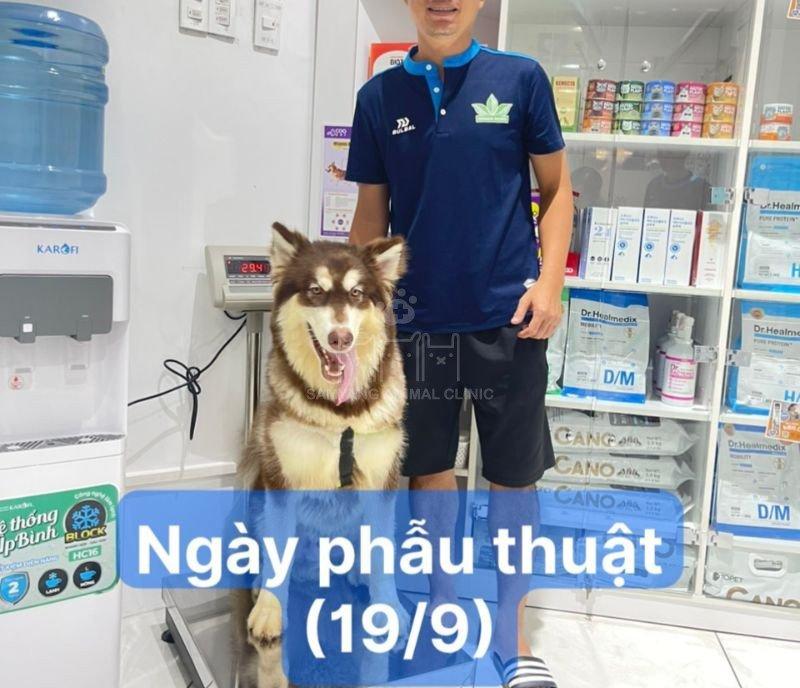 Chủ nuôi đưa chó đi triệt sản tại bệnh viện thú cưng Samyang
