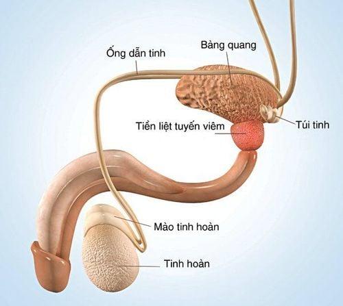 Tại sao nước tiểu có màu nâu đỏ?