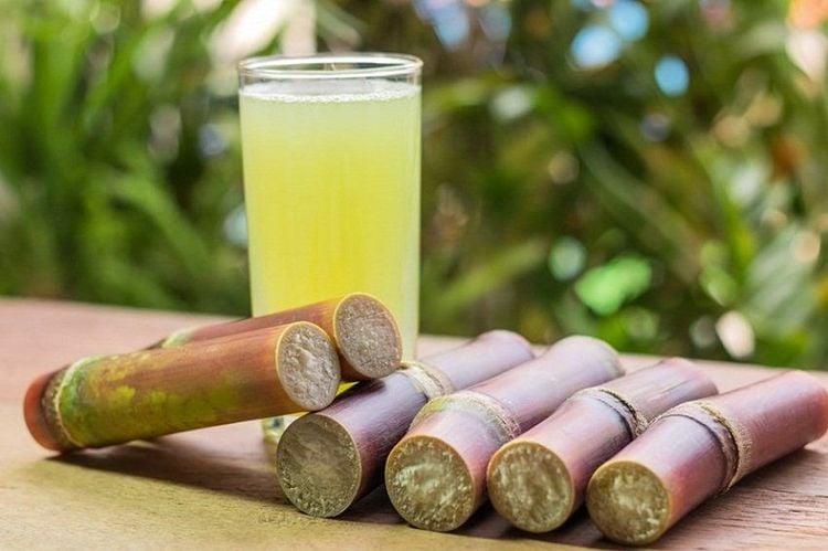 Nguồn dinh dưỡng của mía có thể giúp người dùng lợi tiểu.