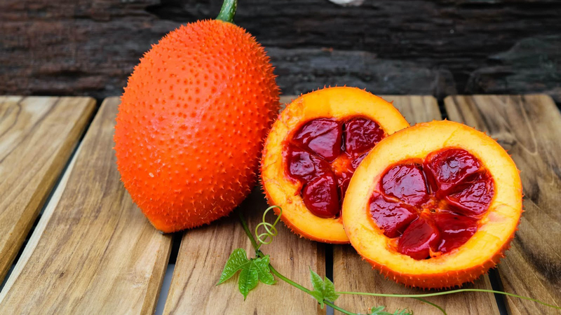 Trái gấc ăn sống được không? Công dụng trị ung thư thần kỳ