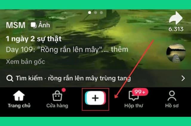 Cách khôi phục video đã xóa trên TikTok do xóa nhầm, vi phạm