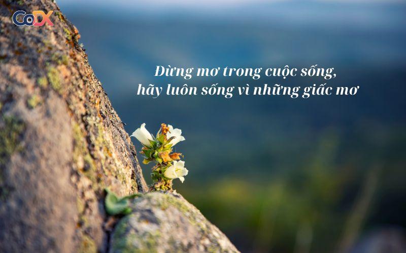 Những câu nói truyền năng lượng tích cực trong công việc