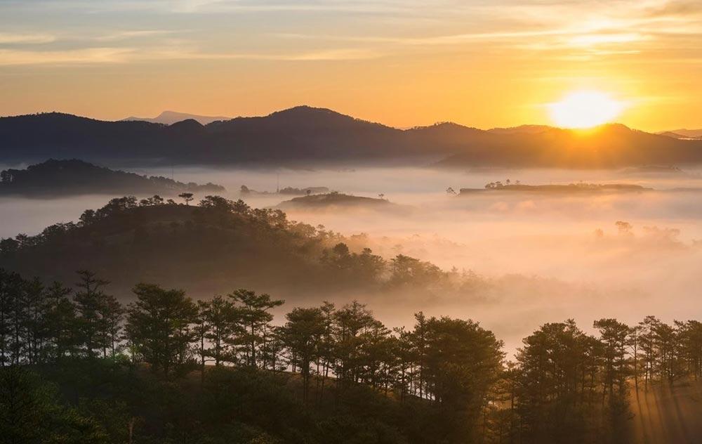 Nhạc sĩ Việt Dzũng và ca khúc “Thung Lũng Chim Bay” – “Cho tôi xin đa tạ những tháng ngày diễm mộng…”